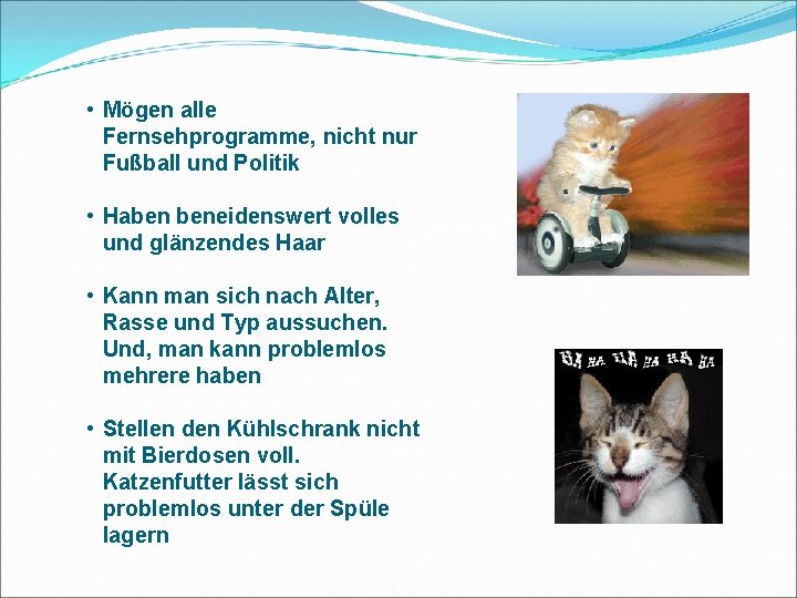  • Mögen alle Fernsehprogramme, nicht nur Fußball und Politik • Haben beneidenswert volles