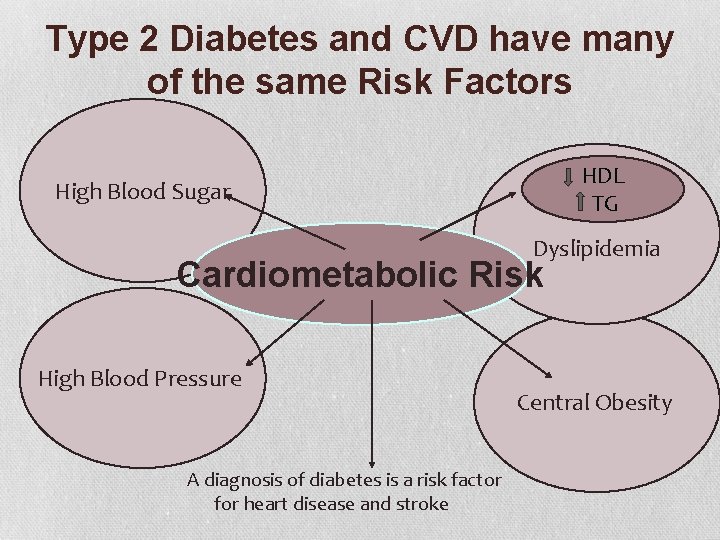 Type 2 Diabetes and CVD have many of the same Risk Factors HDL TG