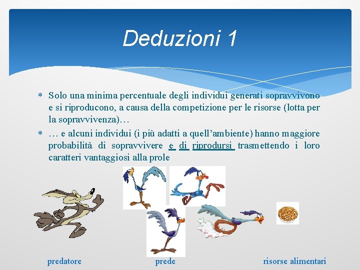 Deduzioni 1 Solo una minima percentuale degli individui generati sopravvivono e si riproducono, a