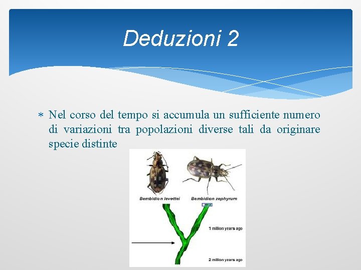 Deduzioni 2 Nel corso del tempo si accumula un sufficiente numero di variazioni tra