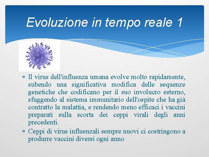 Evoluzione in tempo reale 1 Il virus dell'influenza umana evolve molto rapidamente, subendo una