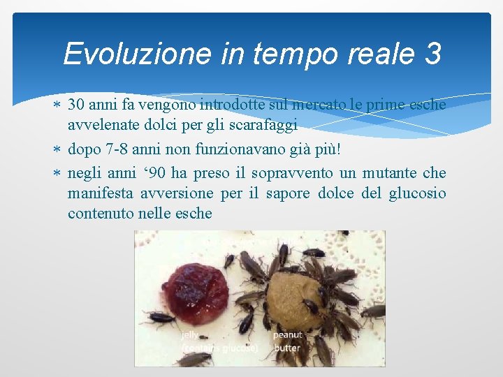 Evoluzione in tempo reale 3 30 anni fa vengono introdotte sul mercato le prime