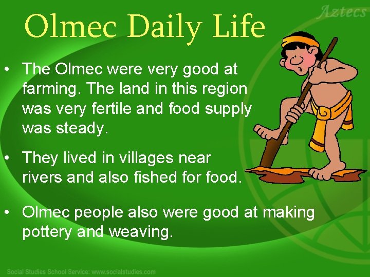Olmec Daily Life • The Olmec were very good at farming. The land in