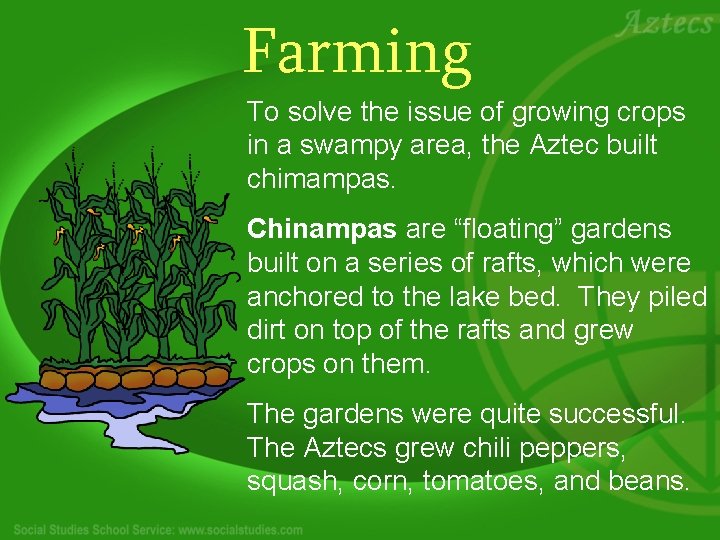 Farming To solve the issue of growing crops in a swampy area, the Aztec