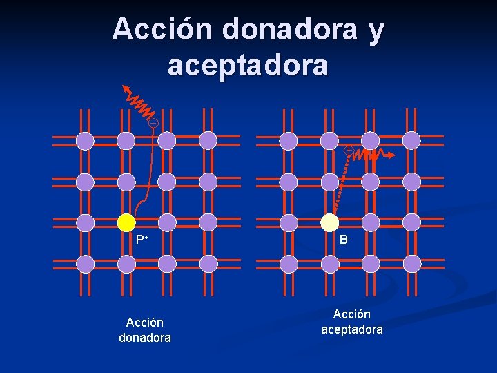 Acción donadora y aceptadora P+ Acción donadora B- Acción aceptadora 