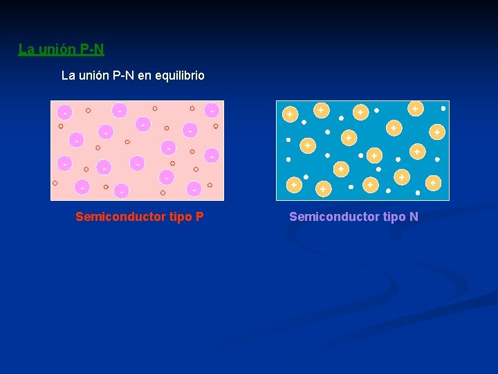 La unión P-N en equilibrio - - - - + + + - -
