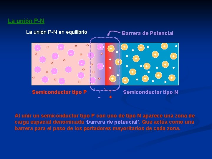 La unión P-N en equilibrio Barrera de Potencial - - - - Semiconductor tipo