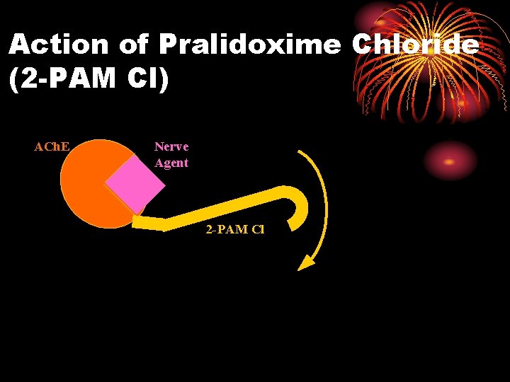 Action of Pralidoxime Chloride (2 -PAM Cl) ACh. E Nerve Agent 2 -PAM Cl