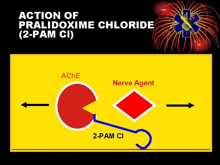 ACTION OF PRALIDOXIME CHLORIDE (2 -PAM Cl) ACh. E Nerve Agent 2 -PAM Cl