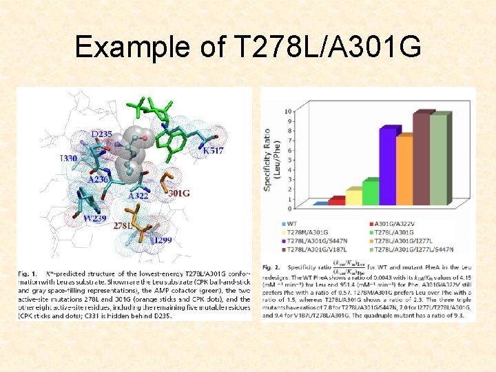 Example of T 278 L/A 301 G 