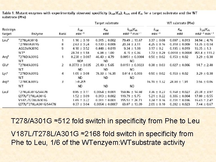 T 278/A 301 G ≈512 fold switch in specificity from Phe to Leu V