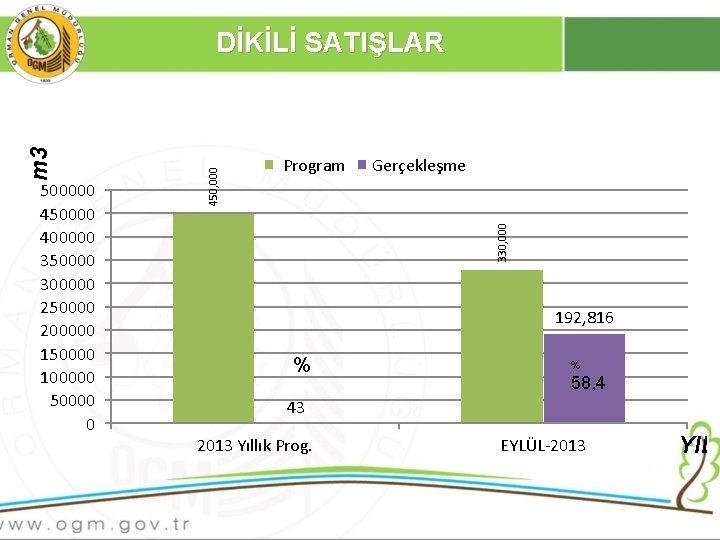  Program Gerçekleşme 330, 000 500000 450000 400000 350000 300000 250000 200000 150000 100000