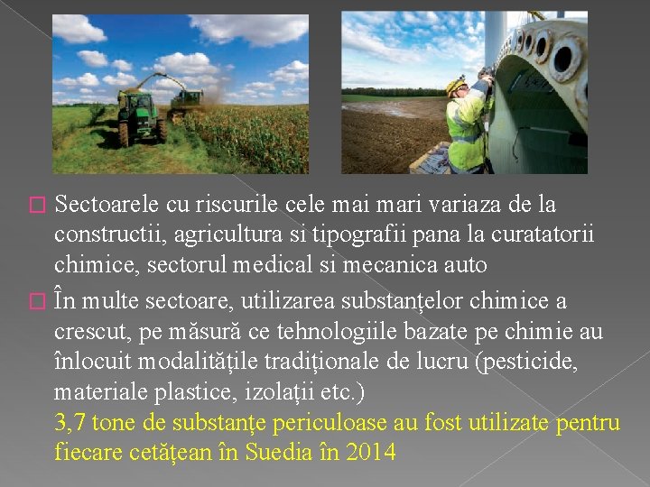 Sectoarele cu riscurile cele mai mari variaza de la constructii, agricultura si tipografii pana