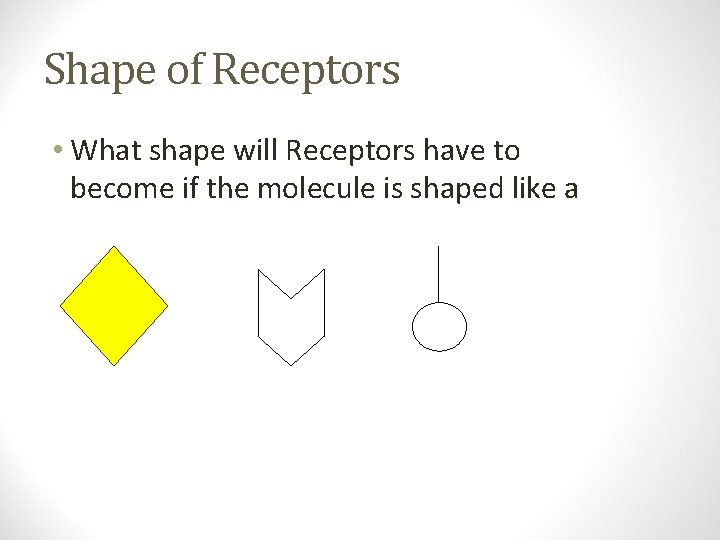 Shape of Receptors • What shape will Receptors have to become if the molecule