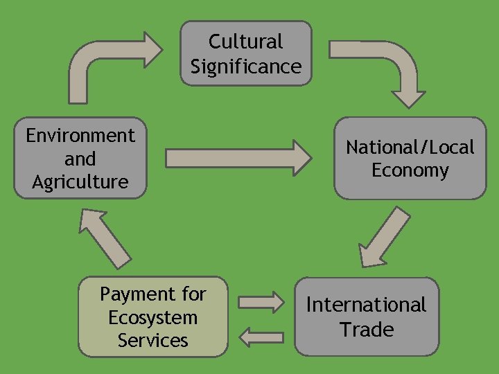 Cultural Significance Environment and Agriculture Payment for Ecosystem Services National/Local Economy International Trade 