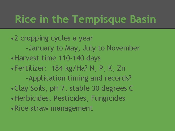 Rice in the Tempisque Basin • 2 cropping cycles a year -January to May,