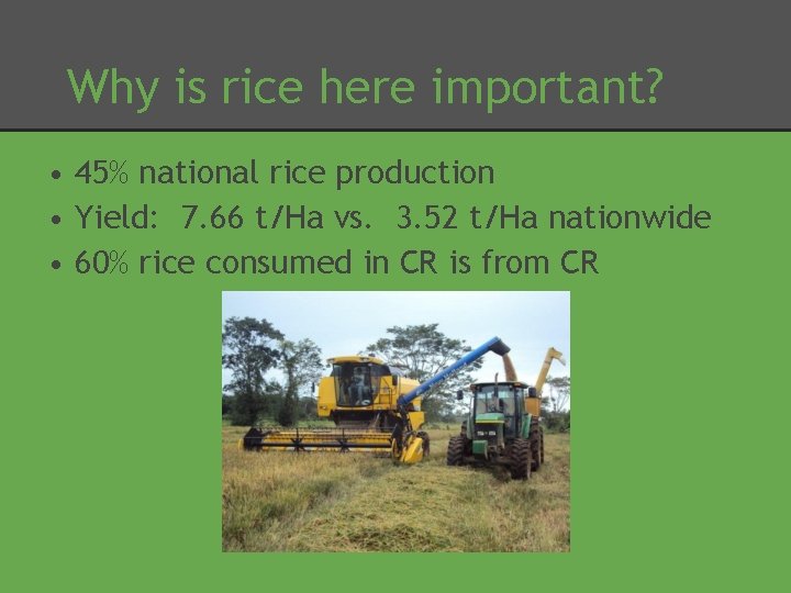 Why is rice here important? • 45% national rice production • Yield: 7. 66