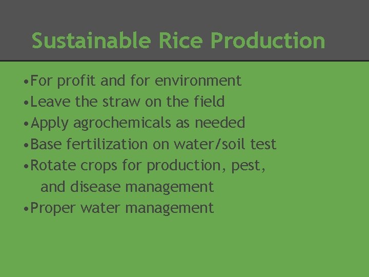 Sustainable Rice Production • For profit and for environment • Leave the straw on