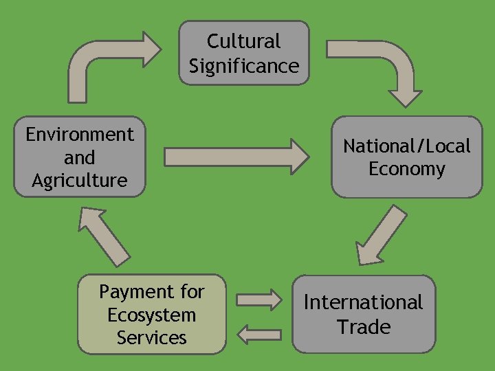 Cultural Significance Environment and Agriculture Payment for Ecosystem Services National/Local Economy International Trade 