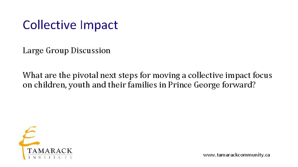 Collective Impact Large Group Discussion What are the pivotal next steps for moving a