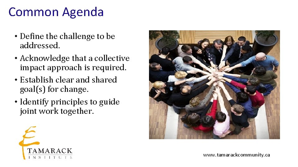 Common Agenda • Define the challenge to be addressed. • Acknowledge that a collective