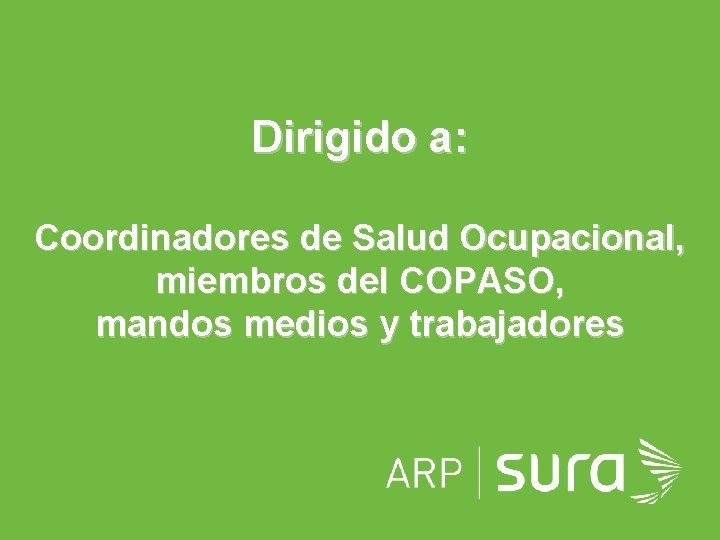 Dirigido a: Coordinadores de Salud Ocupacional, miembros del COPASO, mandos medios y trabajadores ARP