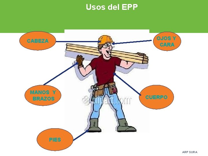 Usos del EPP OJOS Y CARA CABEZA MANOS Y BRAZOS CUERPO PIES ARP SURA