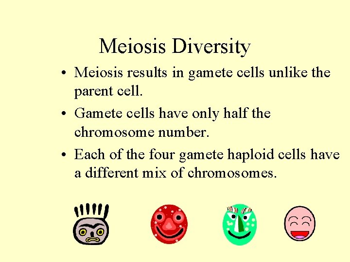 Meiosis Diversity • Meiosis results in gamete cells unlike the parent cell. • Gamete