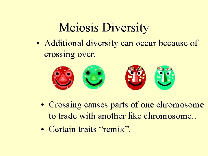 Meiosis Diversity • Additional diversity can occur because of crossing over. • Crossing causes