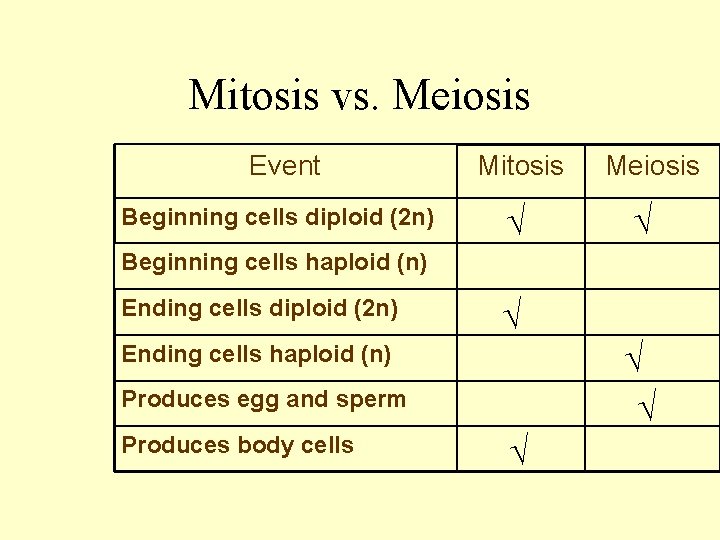 Mitosis vs. Meiosis Event Beginning cells diploid (2 n) Mitosis √ Meiosis √ Beginning
