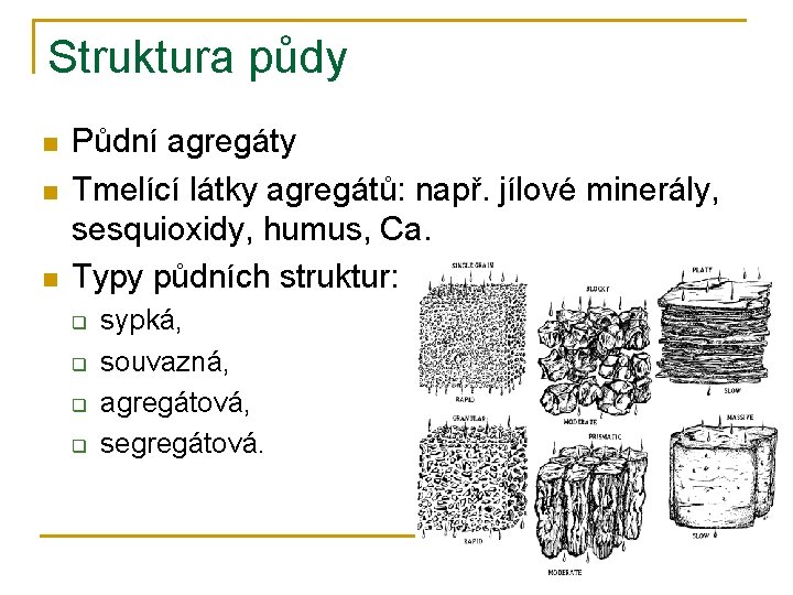Struktura půdy n n n Půdní agregáty Tmelící látky agregátů: např. jílové minerály, sesquioxidy,