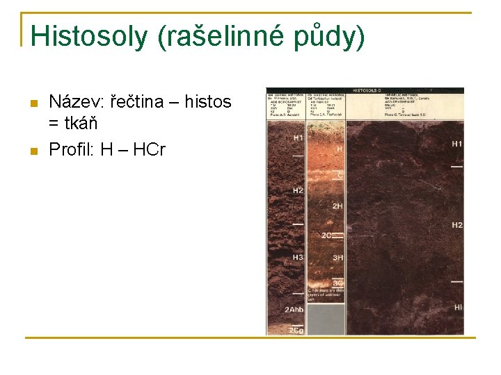 Histosoly (rašelinné půdy) n n Název: řečtina – histos = tkáň Profil: H –