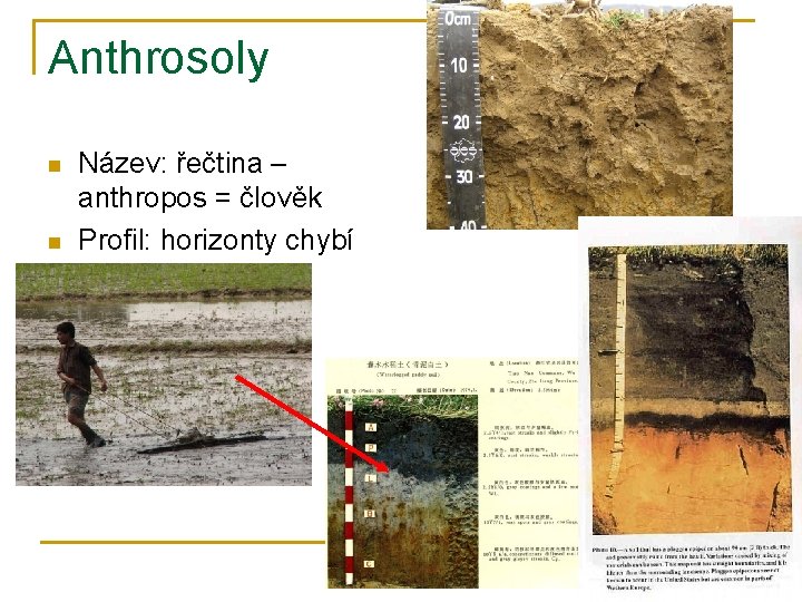 Anthrosoly n n Název: řečtina – anthropos = člověk Profil: horizonty chybí 