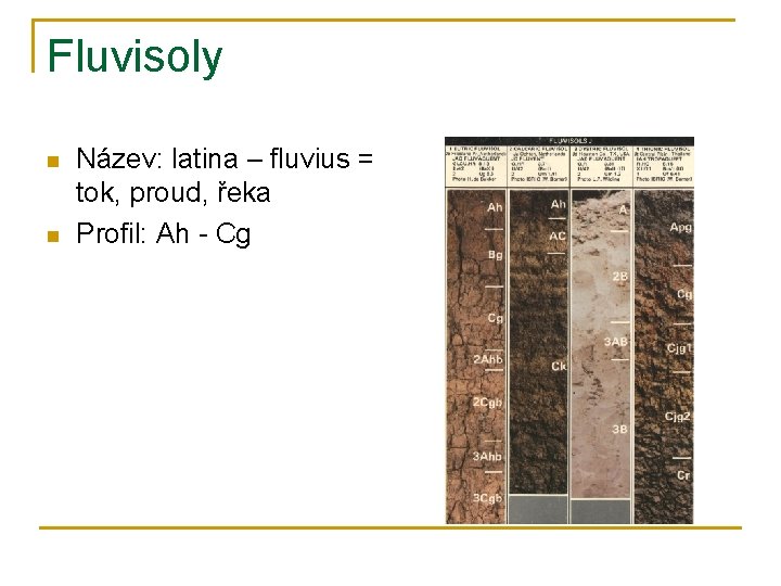 Fluvisoly n n Název: latina – fluvius = tok, proud, řeka Profil: Ah -