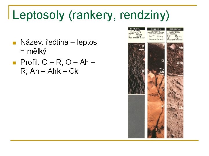 Leptosoly (rankery, rendziny) n n Název: řečtina – leptos = mělký Profil: O –