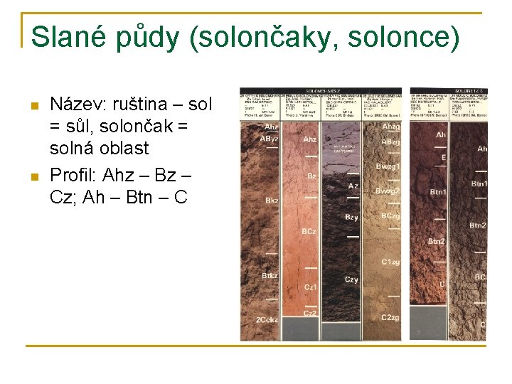 Slané půdy (solončaky, solonce) n n Název: ruština – sol = sůl, solončak =