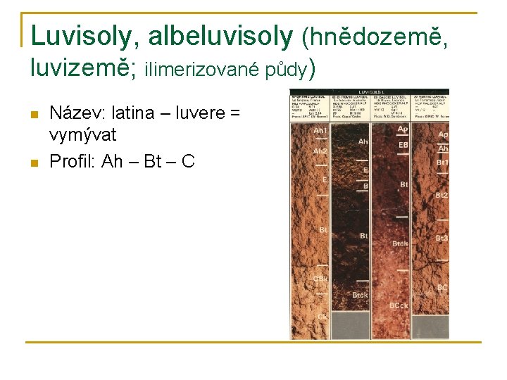 Luvisoly, albeluvisoly (hnědozemě, luvizemě; ilimerizované půdy) n n Název: latina – luvere = vymývat