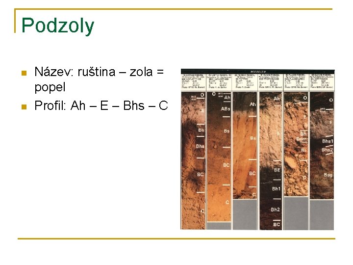 Podzoly n n Název: ruština – zola = popel Profil: Ah – E –