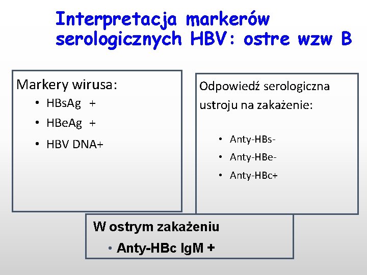 Interpretacja markerów serologicznych HBV: ostre wzw B Markery wirusa: • HBs. Ag + •