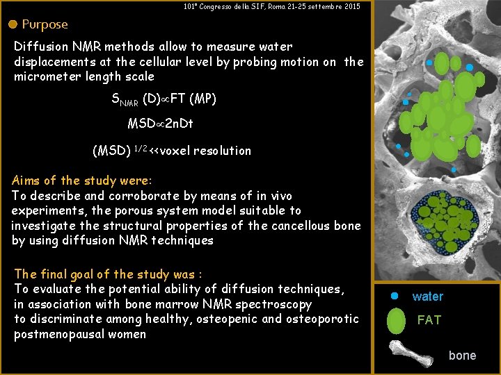 101° Congresso della SIF, Roma 21 -25 settembre 2015 Purpose Diffusion NMR methods allow