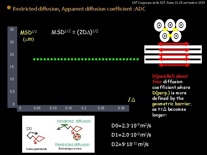 101° Congresso della SIF, Roma 21 -25 settembre 2015 Restricted diffusion, Apparent diffusion coefficient