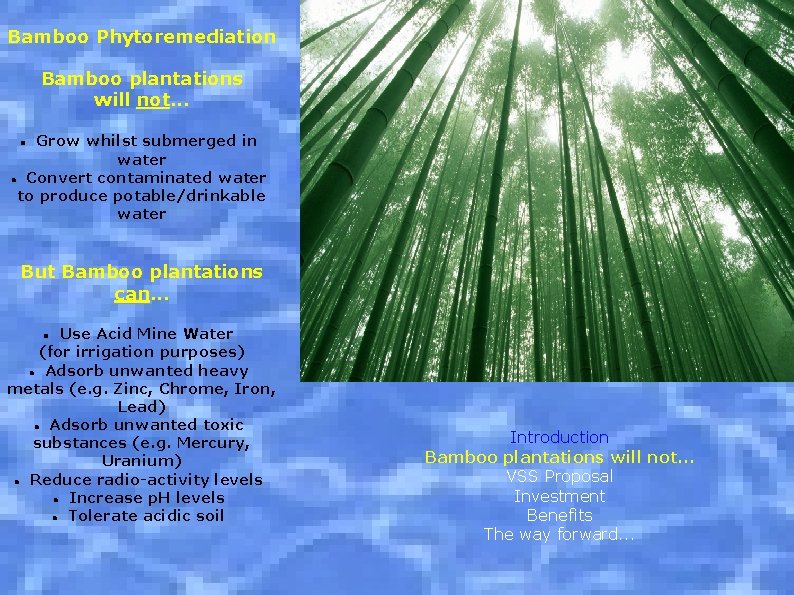 Bamboo Phytoremediation Bamboo plantations will not. . . Grow whilst submerged in water Convert