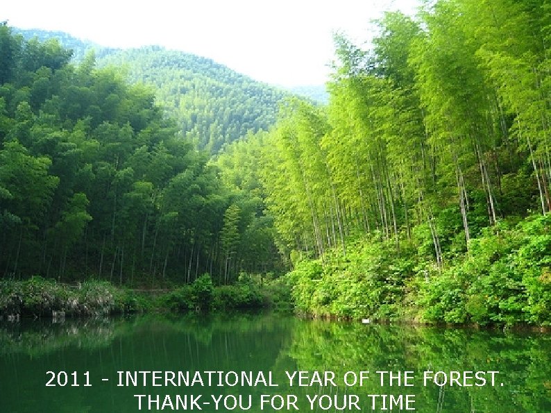2011 - INTERNATIONAL YEAR OF THE FOREST. THANK-YOU FOR YOUR TIME 
