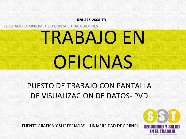 RM-375 -2008 -TR TRABAJO EN OFICINAS PUESTO DE TRABAJO CON PANTALLA DE VISUALIZACION DE