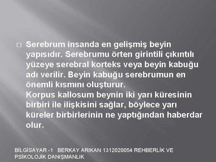 � Serebrum insanda en gelişmiş beyin yapısıdır. Serebrumu örten girintili çıkıntılı yüzeye serebral korteks