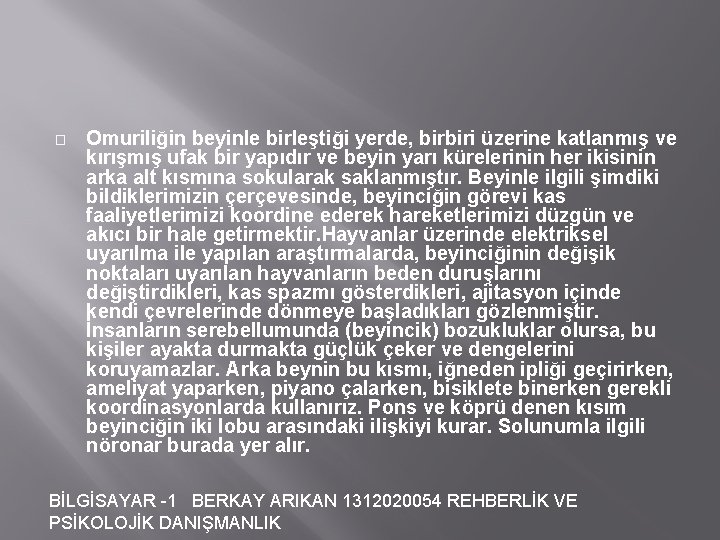 � Omuriliğin beyinle birleştiği yerde, birbiri üzerine katlanmış ve kırışmış ufak bir yapıdır ve