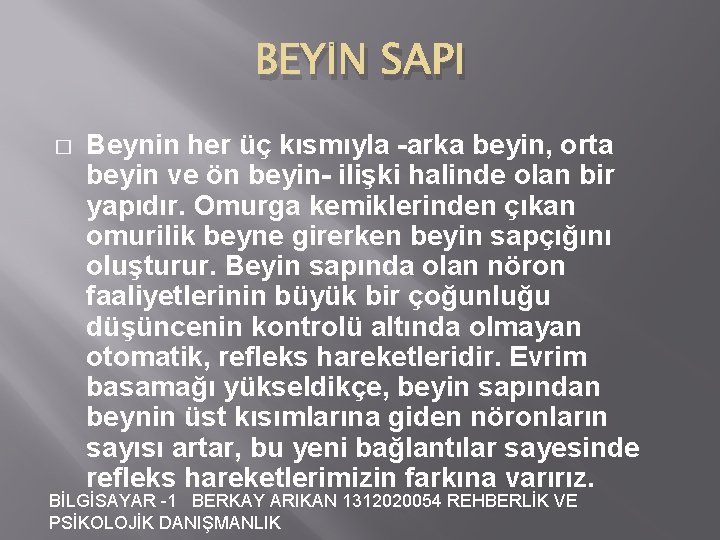 BEYİN SAPI � Beynin her üç kısmıyla -arka beyin, orta beyin ve ön beyin-