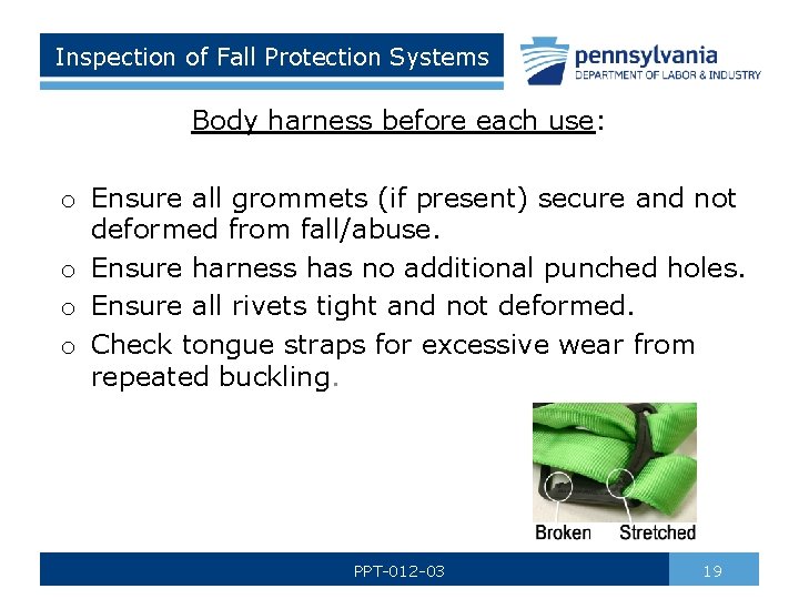 Inspection of Fall Protection Systems Body harness before each use: o Ensure all grommets