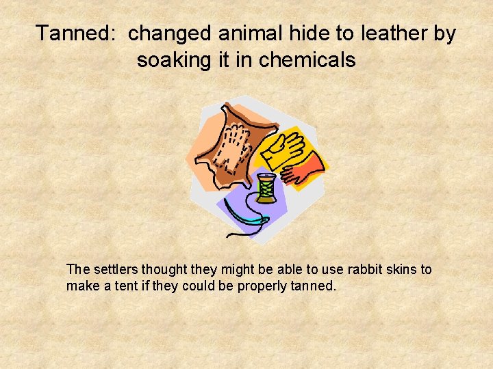 Tanned: changed animal hide to leather by soaking it in chemicals The settlers thought