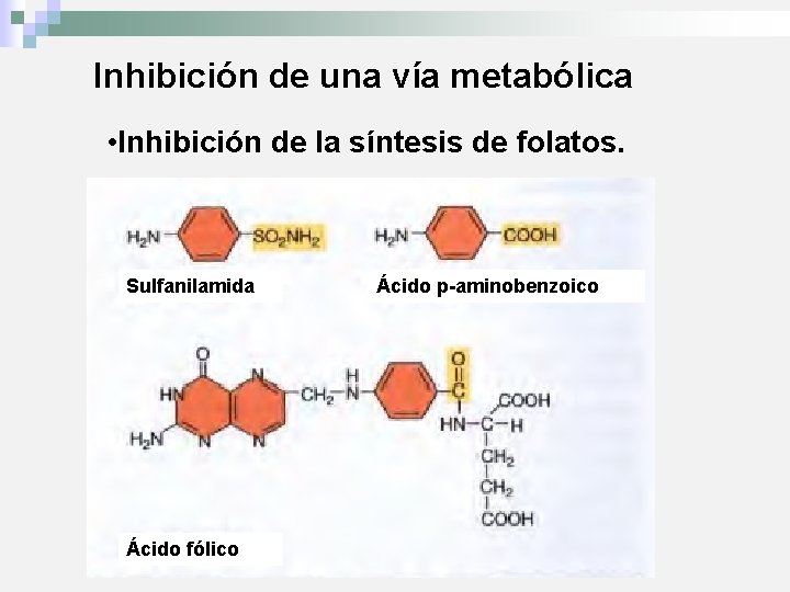 Inhibición de una vía metabólica • Inhibición de la síntesis de folatos. Sulfanilamida Ácido